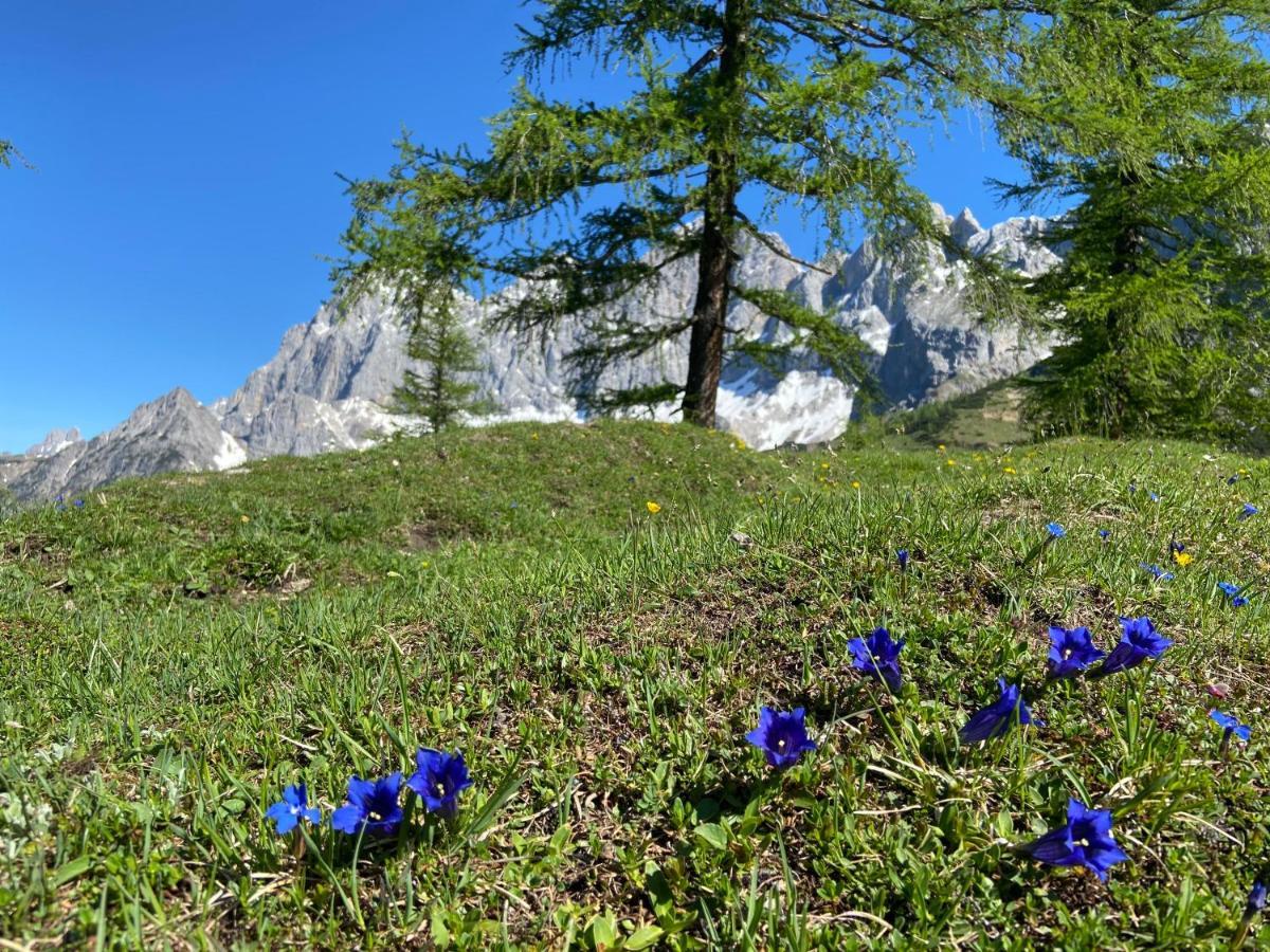 Ferienwohnung Haus Sonnleitner Ramsau am Dachstein Exterior foto
